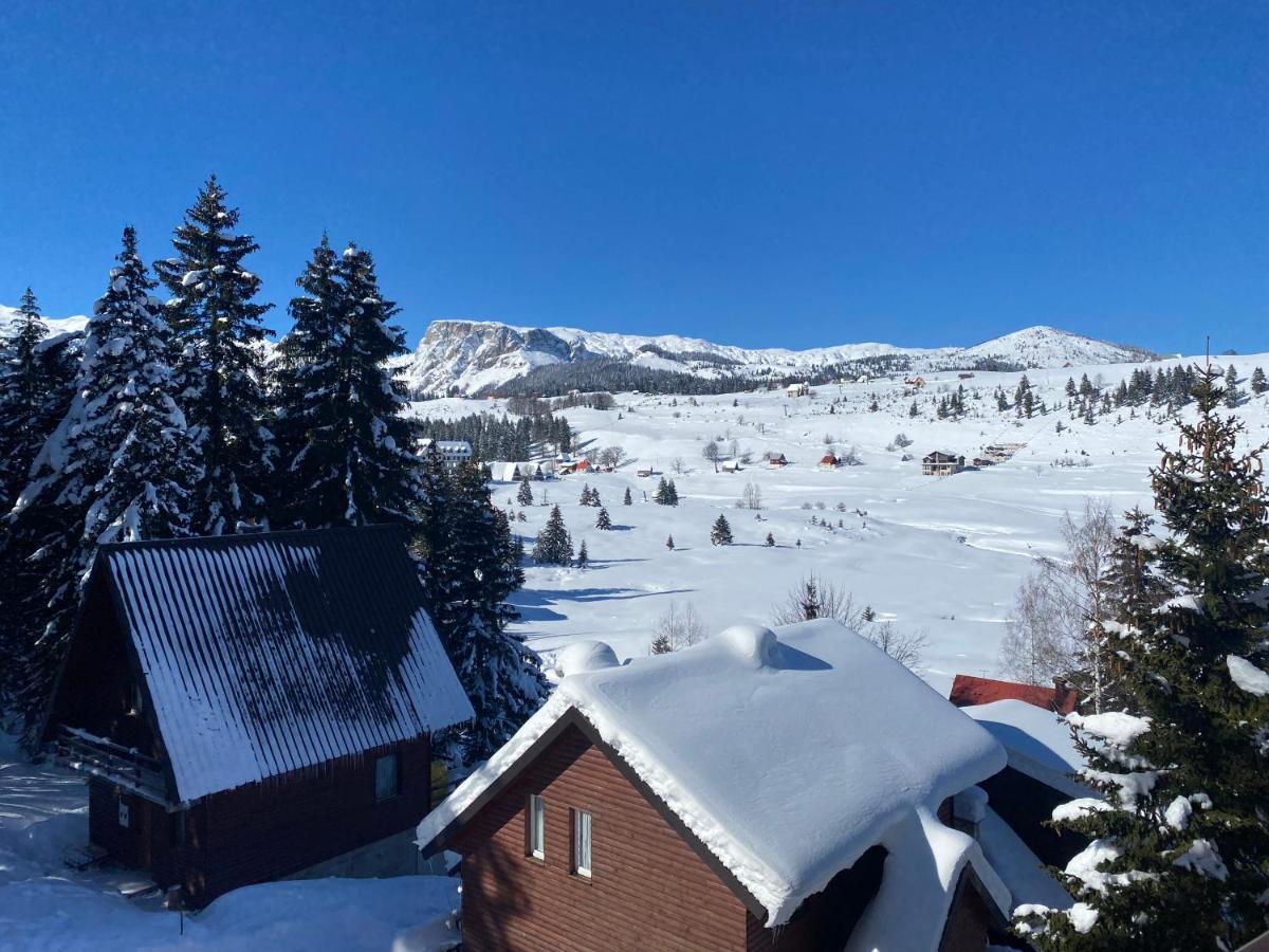 Zlatni Dar Daire Žabljak Dış mekan fotoğraf