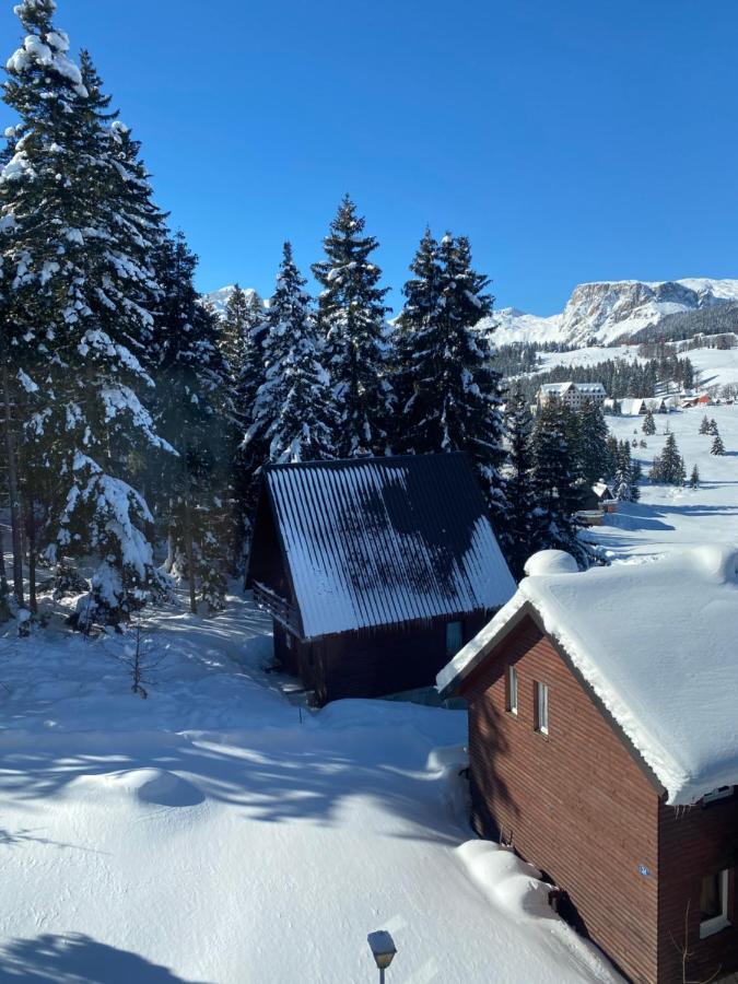 Zlatni Dar Daire Žabljak Dış mekan fotoğraf